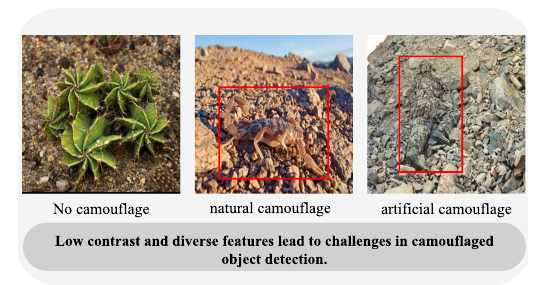 camouflage-figure-1.png
